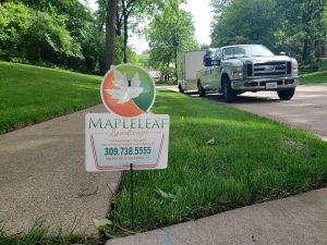 Bettendorf Lawn Compost: Transform Your Lawn with Maple Leaf Lawn Solutions in 2024 2