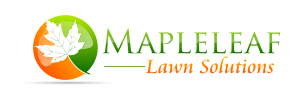 Bettendorf Lawn Compost: Transform Your Lawn with Maple Leaf Lawn Solutions in 2024 1